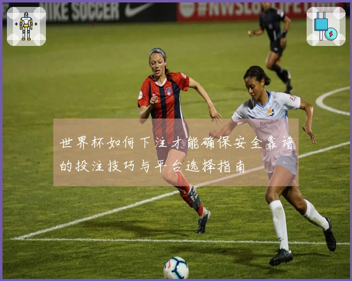 世界杯如何下注才能确保安全靠谱的投注技巧与平台选择指南