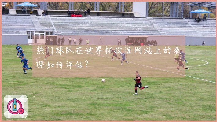 热门球队在世界杯投注网站上的表现如何评估？