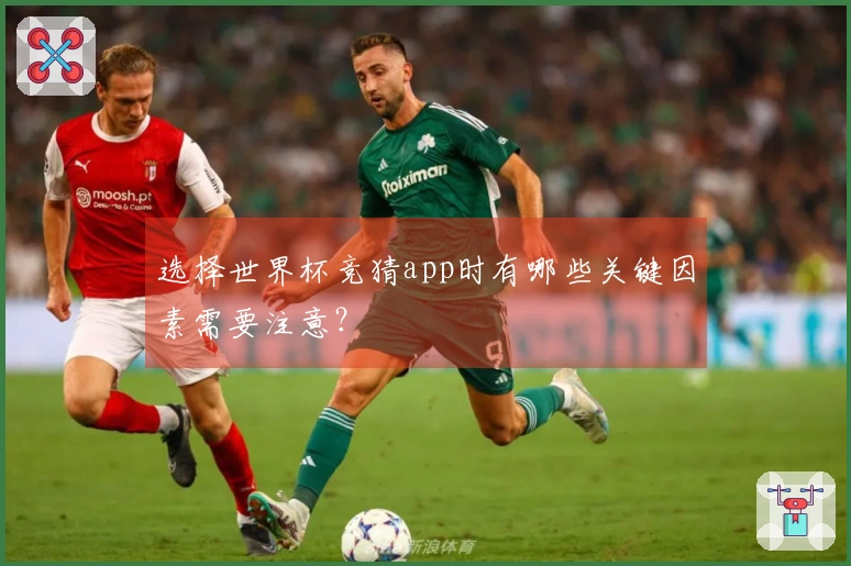 选择世界杯竞猜app时有哪些关键因素需要注意?